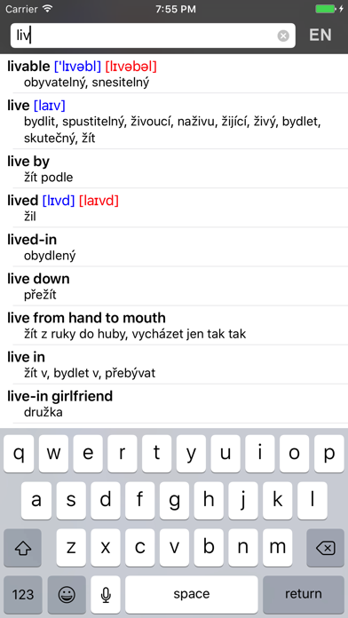 Czech-English offline dict. Screenshot