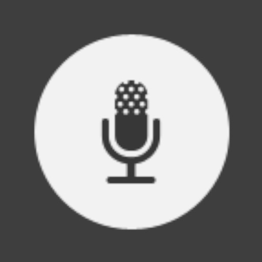 Munisense Sound Display Legacy