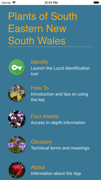 Plants of South Eastern NSW Screenshot