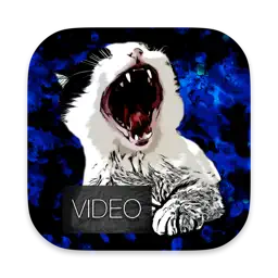 Celling Video app icon
