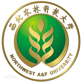 لقطات (4) 西农云盘