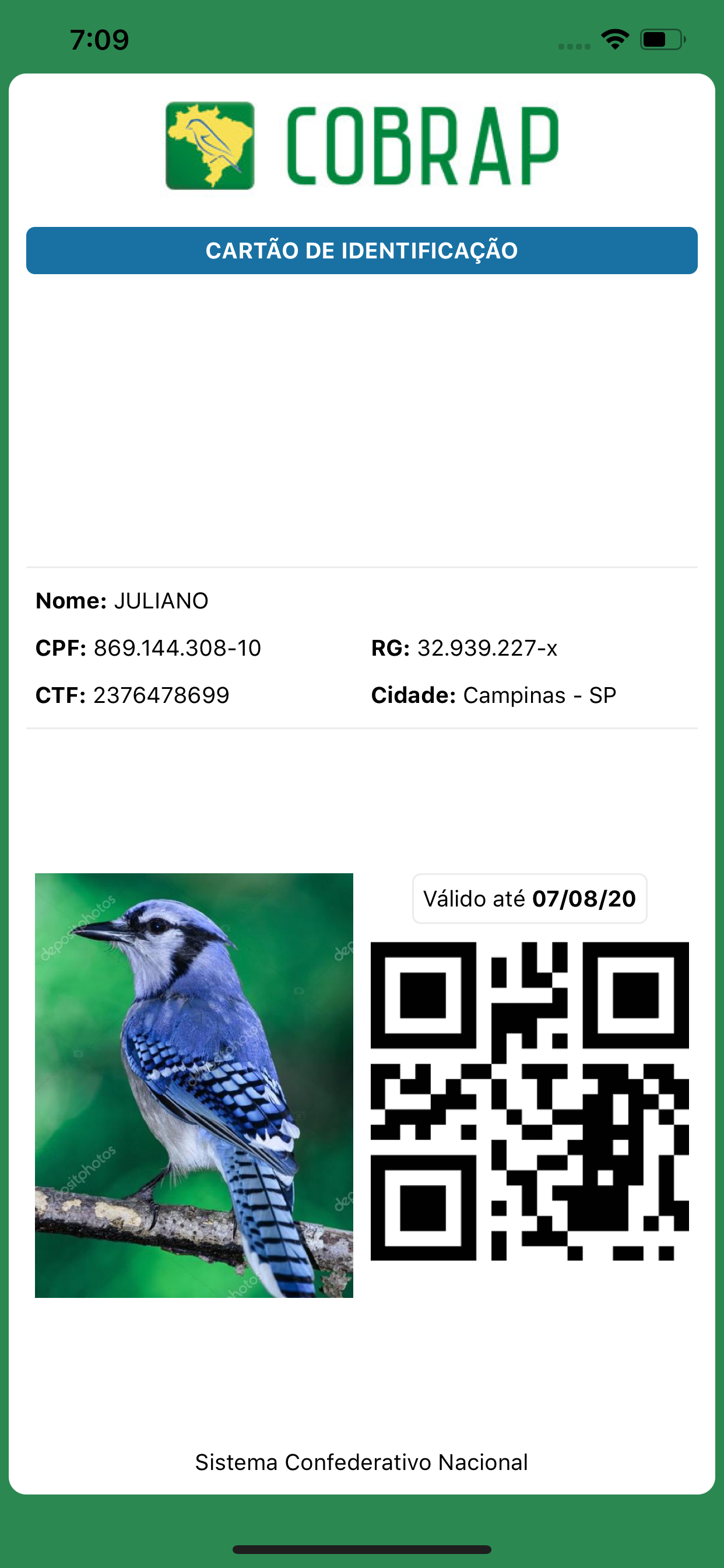 Pássaros.Org screenshot 4