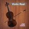 The violin, sometimes known as a fiddle, is a wooden string instrument in the violin family