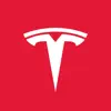 Tesla Positive Reviews, comments
