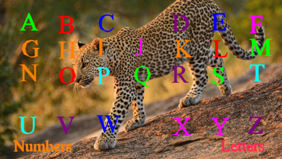 Wild Cats Sounds Screenshot