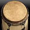 Conga Drums icon