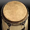 Conga Drums - Drum Starz