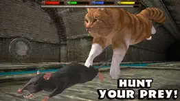 ultimate cat simulator problems & solutions and troubleshooting guide - 1