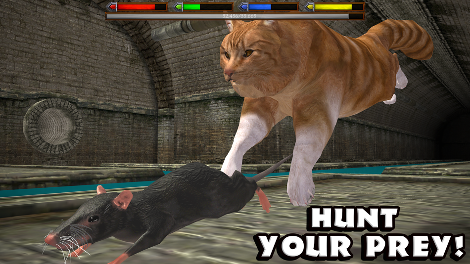 #2. Ultimate Cat Simulator (iOS) 由: Gluten Free Games
