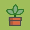 Mini Plant icon