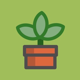 Mini Plant