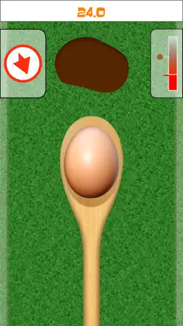 Game screenshot Egg and Spoon Race apk