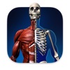 Anatomical Atlas of Human Body