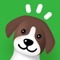 Icon Furbino: Dog Training Tools