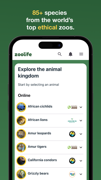 zoolife - Watch Animals Live Screenshot