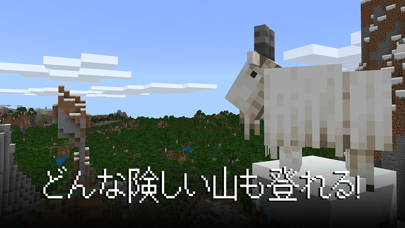 screenshot of Minecraft 8