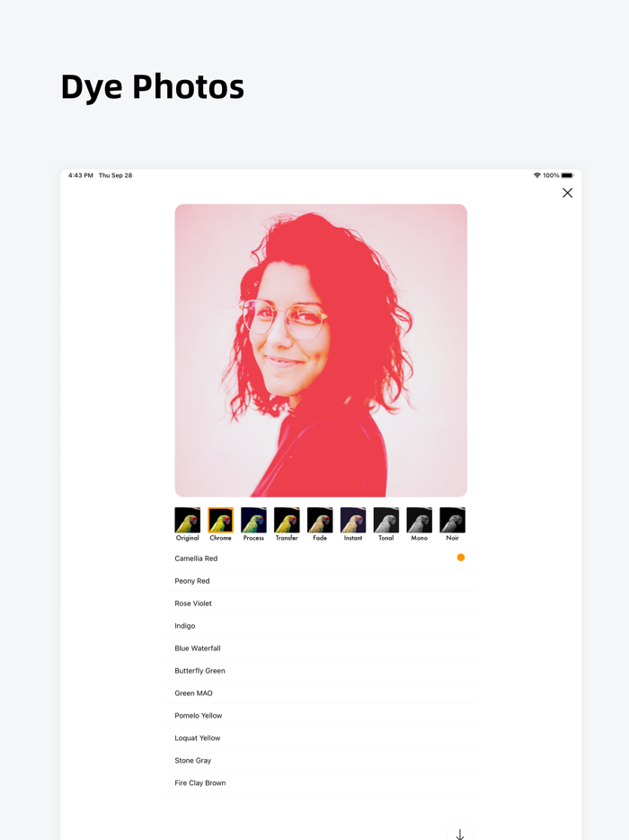 ColorCard Palette Tool