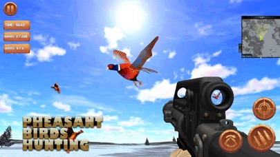 Pheasant Bird Hunting 18 Screenshot