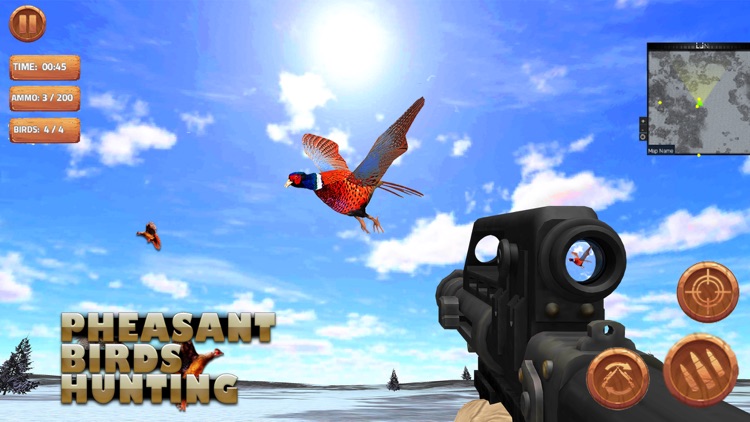 Pheasant Bird Hunting Game 3D