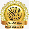 Saad Al Ghamidi - Quran MP3 - HICHEM LOUNIS