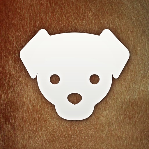 Human to Dog Translator Ultra Icon