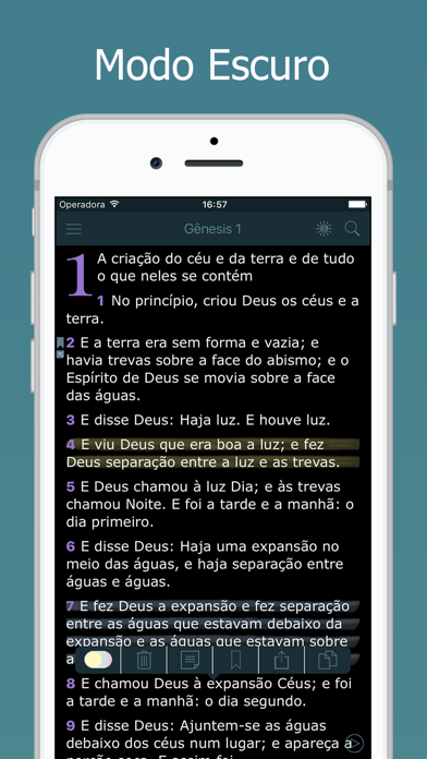 Bíblia Sagrada Almeida e Audio Screenshot