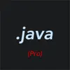 Pro Java Editor App Delete