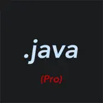 Pro Java Editor App Cancel