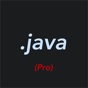 Pro Java Editor app download