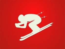 Ski Stickers