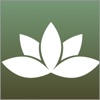 Modern Wellness & Drip icon
