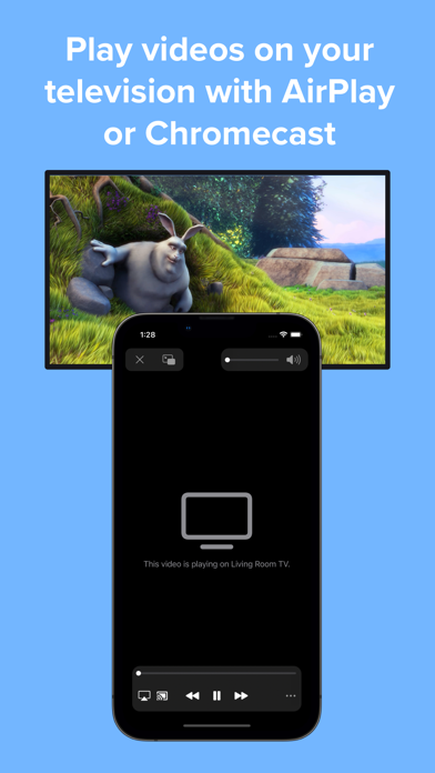Video Player - PIP and more Screenshot