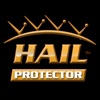 Hail Protector icon