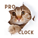 Download Cat Clock App Pro.No Ads app