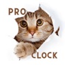 Get Cat Clock App Pro.No Ads for iOS, iPhone, iPad Aso Report