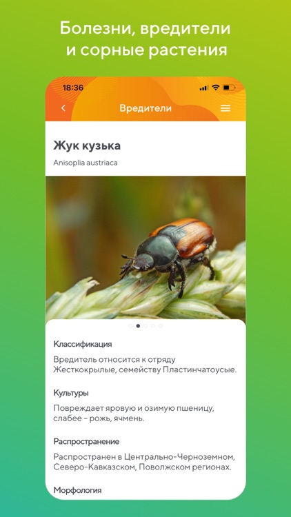 Защита растений "Август" РФ screenshot-5