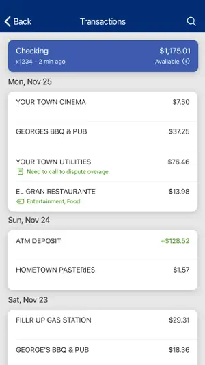 Huron Community Bank screenshot 4