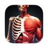 My Human Anatomy Atlas in 3D icon
