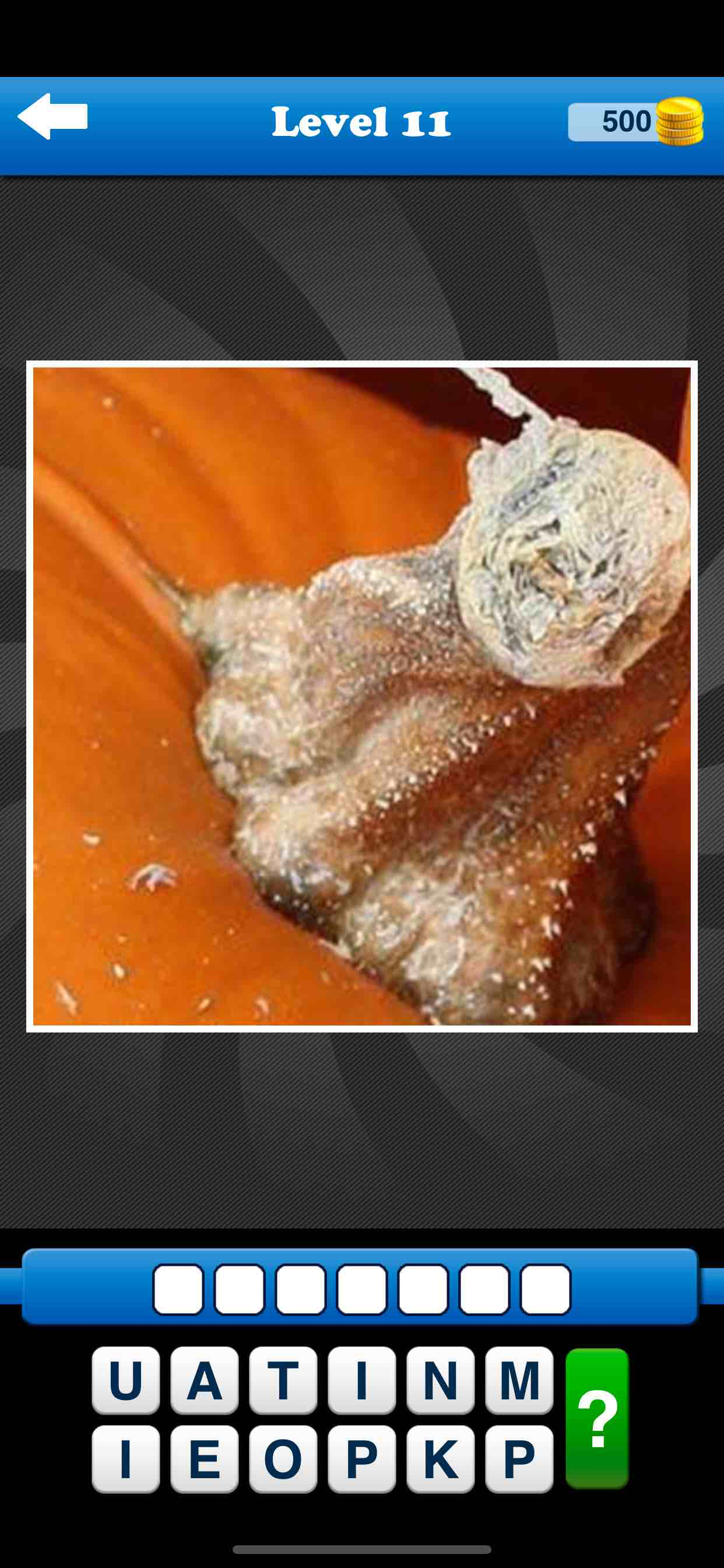Guess the Close Up - Pics Quiz