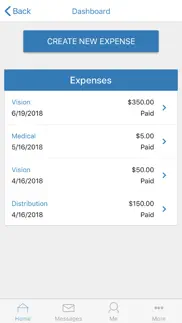 paylocity benefit account iphone images 3