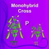 Monohybrid Cross App Delete