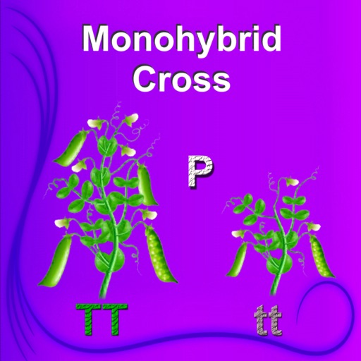 Monohybrid Cross icon