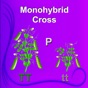 Monohybrid Cross app download