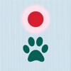 Cat laser pointer  - Pet fun icon