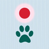 孤独な猫と子猫のゲームのためのレーザーポインター