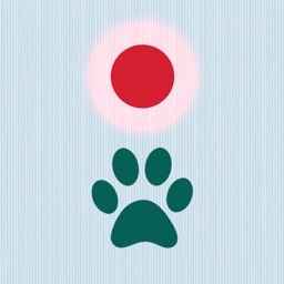 Cat laser pointer  - Pet fun
