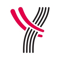 Yanagi Japanese Ramen logo