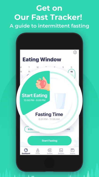 Window - Intermittent Fasting