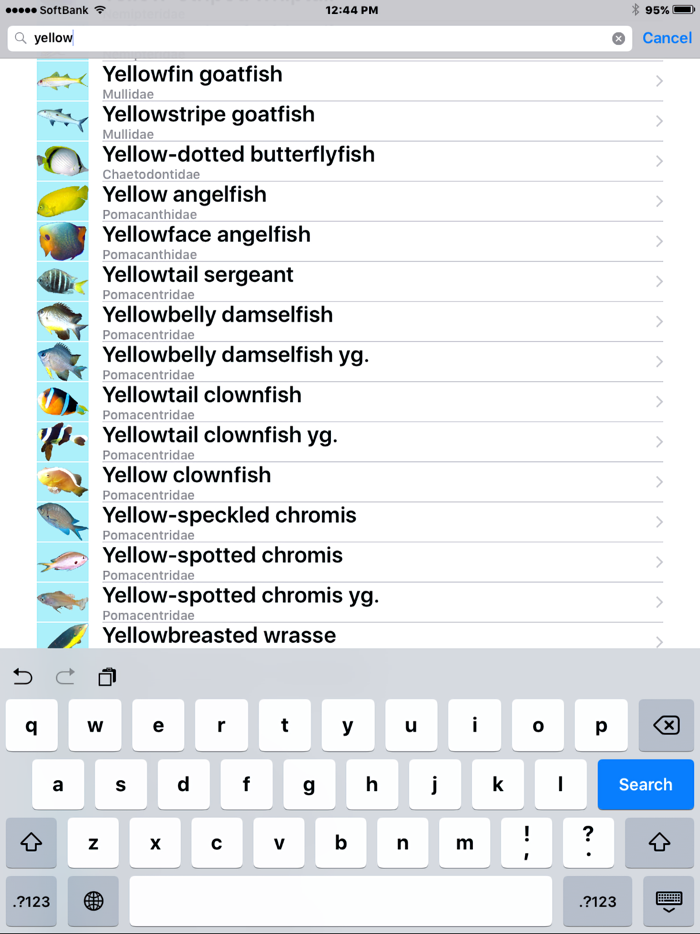 Fish Photo of OKINAWA