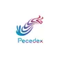 PECEDEX 2021